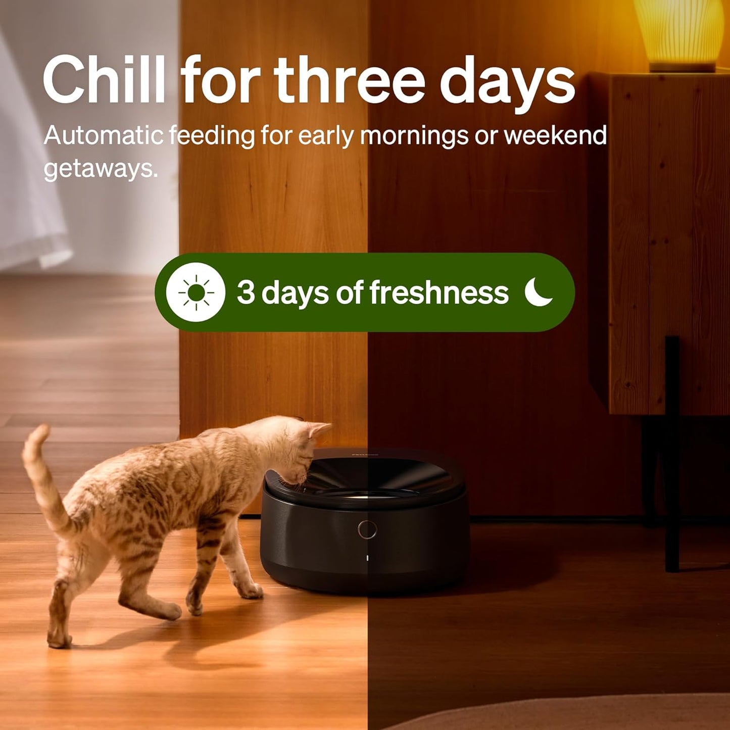 PETLIBRO Automatic Cat Feeder Wet Food with Stainless Steel Bowl