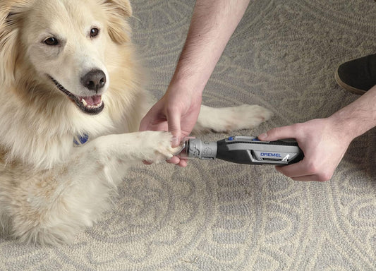 Dremel PawControl 7760-PGK Dog Nail Grinder and Trimmer